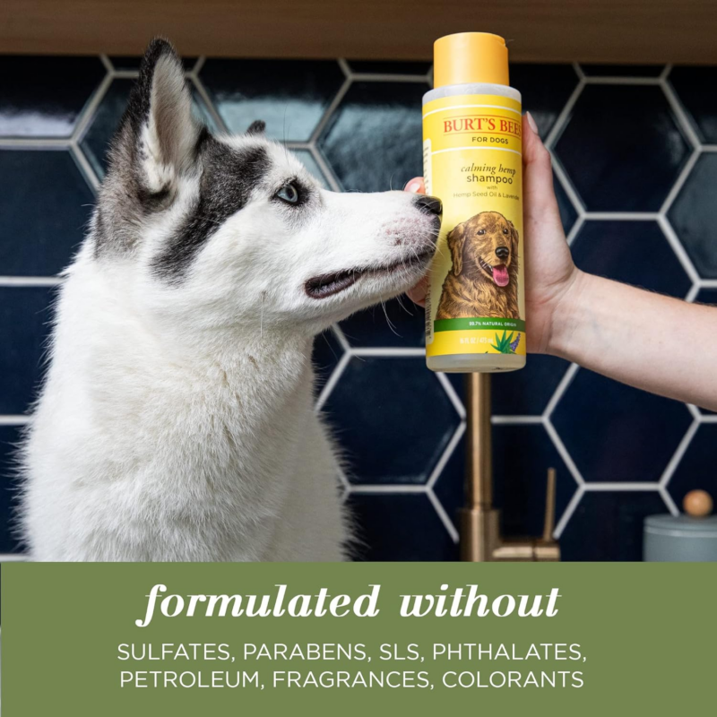 Calming Dog Shampoo with Hemp Seed Oil and Lavender, 95% Natural Origin Formulas, Calming Lavender Dog Shampoo - Gentle Dog Shampoo, Best Dog Shampoo, Lavender, 16 Oz - Image 4