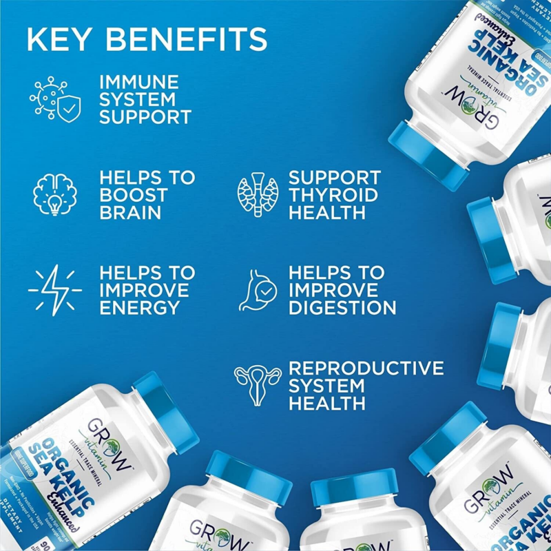 Thyroid Support Supplement 90 Capsules (NON-GMO) ORGANIC - Energy & Weight Loss - Image 2