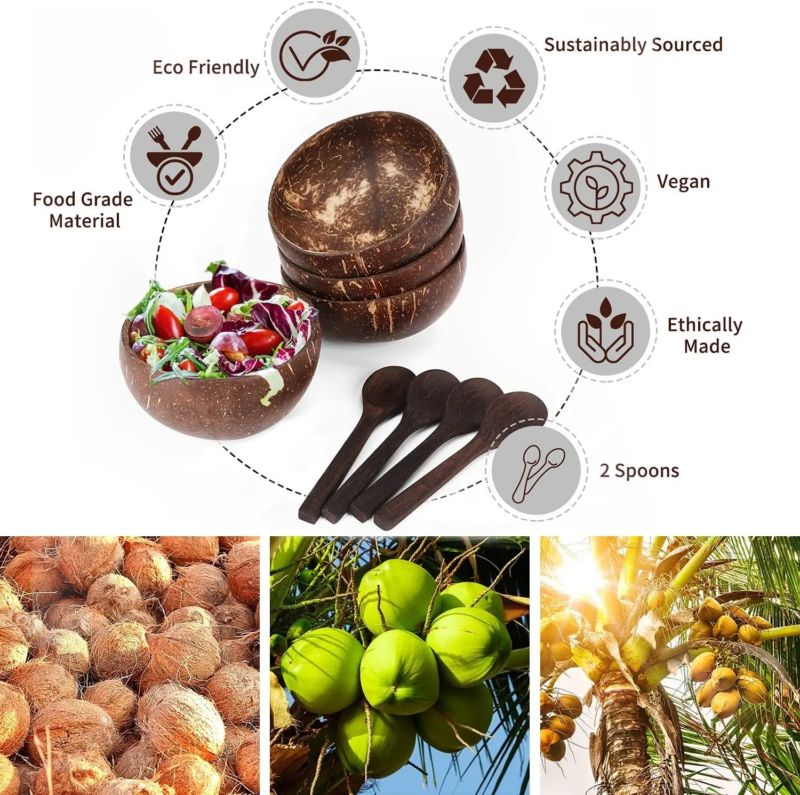Coconut Bowls for Serving Dishes Wooden Salad Wood Reusable Bowl Serving Utensils Natural Coconut Shell Bowls Breakfast Party - Image 5