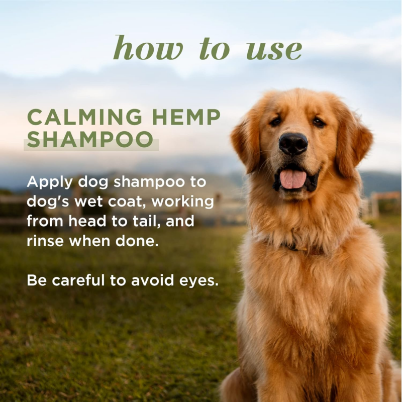 Calming Dog Shampoo with Hemp Seed Oil and Lavender, 95% Natural Origin Formulas, Calming Lavender Dog Shampoo - Gentle Dog Shampoo, Best Dog Shampoo, Lavender, 16 Oz - Image 6
