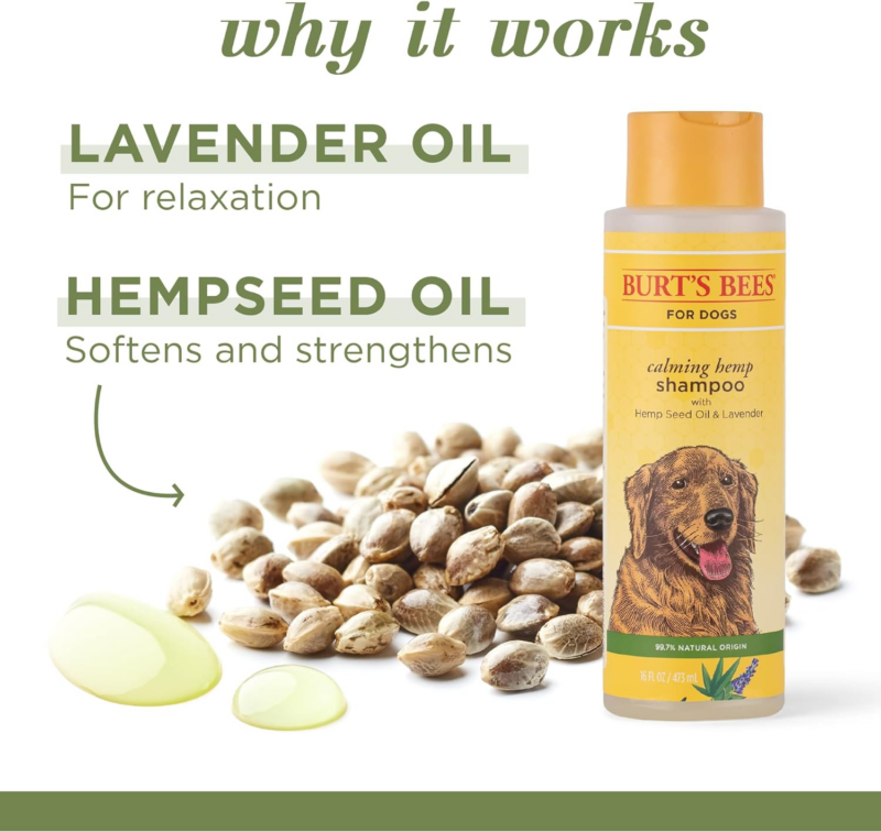 Calming Dog Shampoo with Hemp Seed Oil and Lavender, 95% Natural Origin Formulas, Calming Lavender Dog Shampoo - Gentle Dog Shampoo, Best Dog Shampoo, Lavender, 16 Oz - Image 2