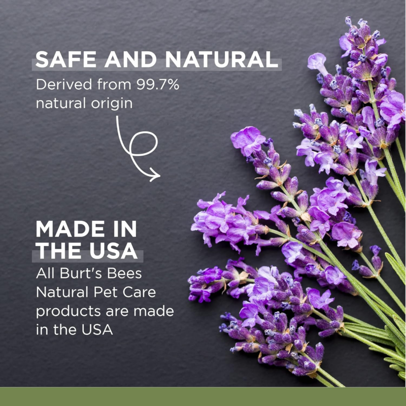 Calming Dog Shampoo with Hemp Seed Oil and Lavender, 95% Natural Origin Formulas, Calming Lavender Dog Shampoo - Gentle Dog Shampoo, Best Dog Shampoo, Lavender, 16 Oz - Image 3