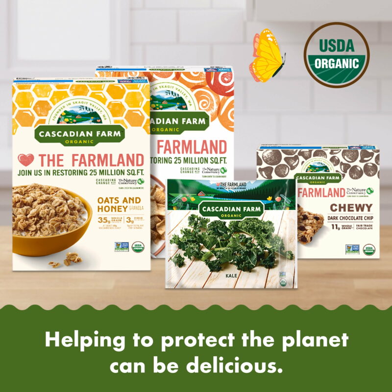 Organic Chocolate Chip Chewy Granola Bars 10 Bars - Image 7